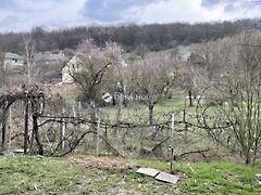 Eladó ház Csabdi