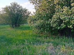 Eladó földterület Gyomaendrőd, Belterület