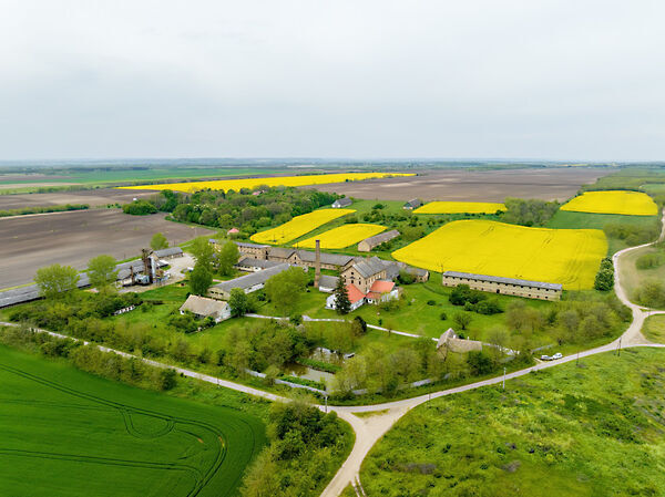 Eladó ipari Fácánkert