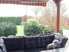 Eladó ház Zamárdi