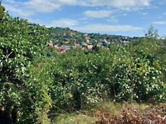 Eladó földterület Pomáz