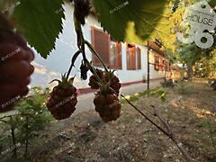 Eladó ház Kecskemét