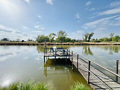 Eladó ház Dunaharaszti