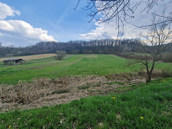 Eladó földterület Szenna