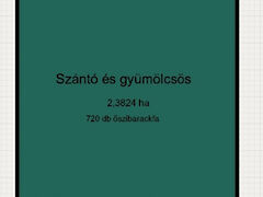 Eladó földterület Zákányszék