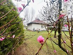 Eladó ház Cserkeszőlő