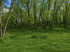 Eladó földterület Veresegyház, Revetek