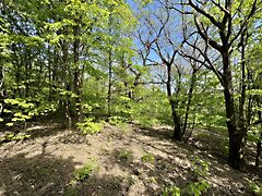 Eladó földterület Bazsi