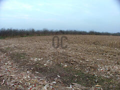 Eladó földterület Debrecen, Pallag