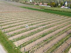 Eladó földterület Bodrogkeresztúr