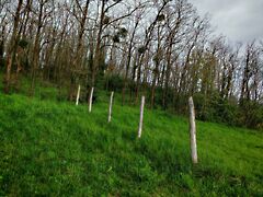 Eladó földterület Kehidakustány