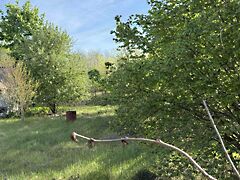 Eladó földterület Veresegyház