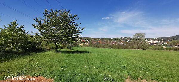 Eladó földterület Budakeszi