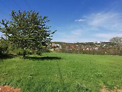 Eladó földterület Budakeszi