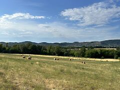 Eladó földterület Budaörs