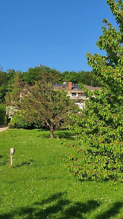 Eladó ház Budakeszi