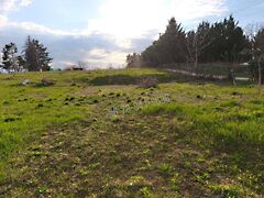 Eladó földterület Rácalmás