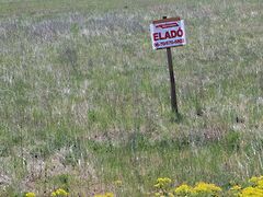 Eladó földterület Csemő, Zöldhalom
