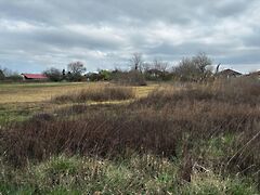 Eladó földterület Tata, Levendula kert