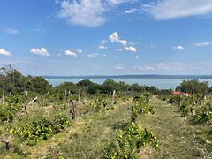 Eladó földterület Balatonszepezd