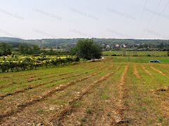Eladó földterület Kőröshegy