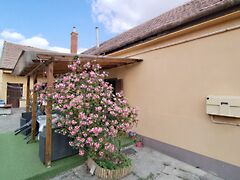 Eladó ház Várpalota