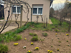 Eladó ház Debrecen, Külterület