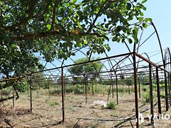 Eladó földterület Gyula, Ajtósfalva