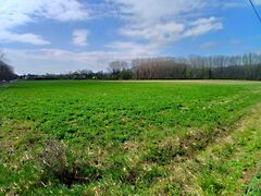 Eladó földterület Nemesgulács