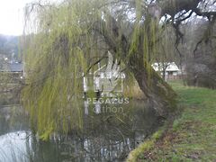 Eladó földterület Borsodnádasd