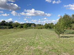 Eladó nyaraló Gyomaendrőd