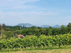 Eladó földterület Balatonboglár