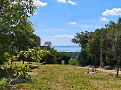 Eladó földterület Balatonalmádi