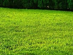 Eladó ipari Siófok