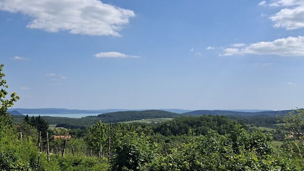 Eladó földterület Balatonszőlős