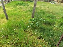 Eladó földterület Debrecen, Kerekestelep