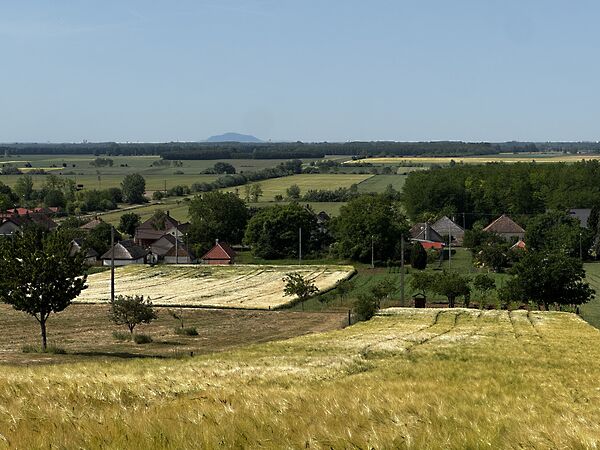 Eladó földterület Gyarmat