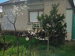 Eladó ház Érsekcsanád