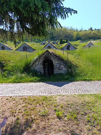 Eladó üzleti Hercegkút