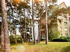 Eladó lakás Veszprém