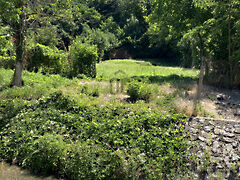 Eladó földterület Hosszúhetény