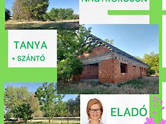 Eladó ház Nagykőrös