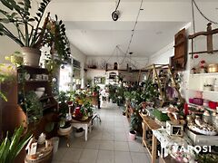 Kiadó üzleti Debrecen, Belváros