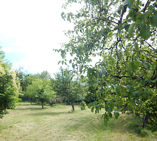 Eladó földterület Zalaegerszeg