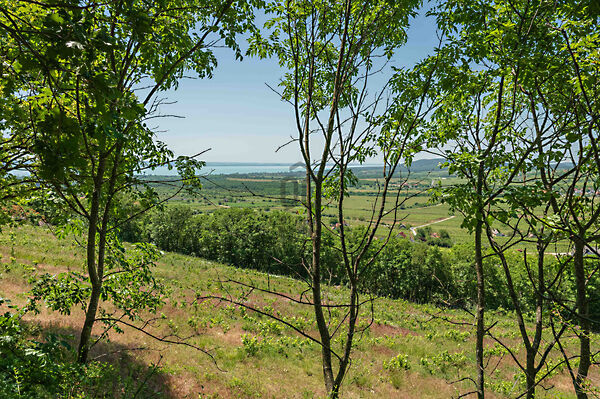 Eladó nyaraló Balatoncsicsó