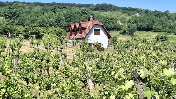 Eladó nyaraló Balatonhenye