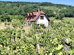 Eladó nyaraló Balatonhenye