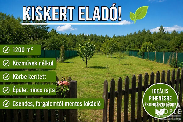 Eladó földterület Bordány
