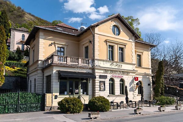 Eladó üzleti Visegrád
