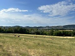 Eladó földterület Budaörs